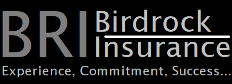 At Birdrock Insurance we are proud to work with industry leading life insurance and annuity carriers. Many have been around for more than a century and are grounded with a strong history and commitment to producers and consumers alike. Let us help you secure contracts for the best product solutions available today.